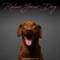 Canine Sounds - Relaxmydog & Dog Music Dreams lyrics
