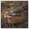 Trip to Remember - Single