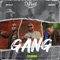 Djnani Gang (feat. Whiteboyy & Chief Dejjy) - Djnani lyrics