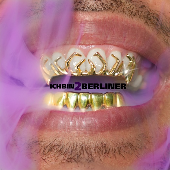 Cover artwork for Flieg