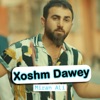 Xoshm Dawey - Single