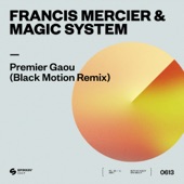Premier Gaou (Black Motion Remix) artwork