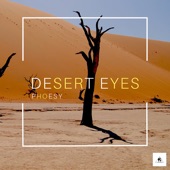 Desert Eyes artwork