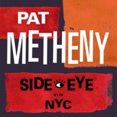 Pat Metheny - Bright Size Life