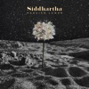 Paraíso Lunar by Siddhartha iTunes Track 1