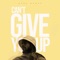 Can't Give You Up artwork