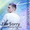 I’m Sorry (Axel Wikner Remix) - Oskar Bruzell lyrics