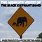 New Pants - The Black Elephant Band lyrics