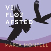 Vi fløj afsted artwork