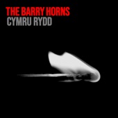 Cymru Rydd artwork