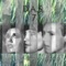 Another Place, Another Time - Martha Davis, Eric Allaman & Reinhard Scheuregger lyrics