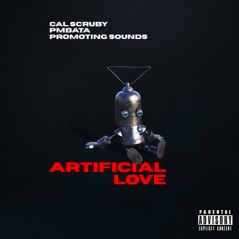Artificial Love (feat. PmBata) - Single