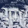 Stream & download Ordinary World (feat. Alessio Ventura & Dario Benedetti) [Cover] - Single