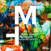Magic Nights (Tube & Berger Remix) artwork