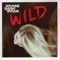 Wild Is the Wind - Joanne Shaw Taylor lyrics
