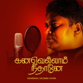 Kanavellam Neethaane (feat. Sagishna) artwork