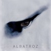 ALBATROZ / PENSAR PESAR CAIR - Single