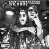 Wild Boy (feat. Polo Brian) artwork