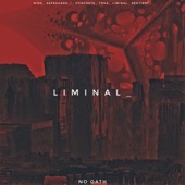 Liminal_ - EP artwork