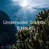 !!!"Underwater Sounds 8 Hours"!!! album lyrics, reviews, download