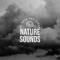 Sleep Sounds of Nature - Nature Sounds Of Rain For Sleep lyrics