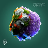 Unity (Extended Mix) artwork