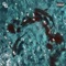 Mafioso (feat. 3 Glizzy & Goo Glizzy) - Shy Glizzy & Glizzy Gang lyrics