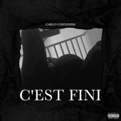 C'est fini (Freestyle) artwork