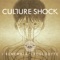 Troglodyte - Culture Shock lyrics