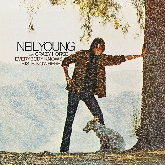 Cover artwork for The Losing End (When You're On)