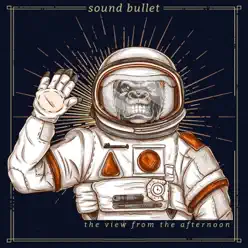 The View from the Afternoon - Single - Sound Bullet The View from the Afternoon - Single - Sound Bullet