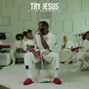 Stream & download TRY JESUS (AT THE CRIB VERSION) - Single