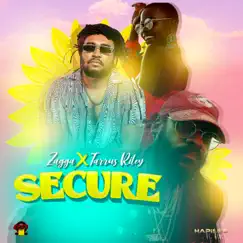 Secure (feat. Tarrus Riley) - Single by Zagga album reviews, ratings, credits