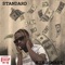 Standard - kingsmart lyrics