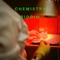 Amber Alert (2020 Remastered) [feat. Ikaya] - Merciless lyrics