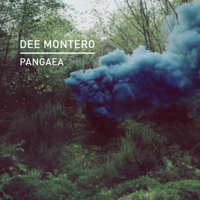 Dee Montero - Pangaea artwork