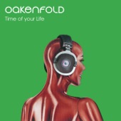 Time of Your Life (Lee Coombes Remix) [feat. Perry Farrell] artwork