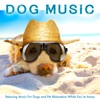 Dog Music: Relaxing Music For Dogs and Pet Relaxation While You’re Away