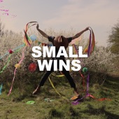 Dekker - Small Wins