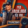 Pra Vaquejada Eu Vou - Single