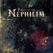 Fields of the Nephilim - Chord of Souls