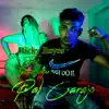 Pal Carajo (feat. Brayan) - Single album lyrics, reviews, download