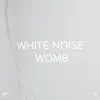 !!!" White Noise Womb "!!! album lyrics, reviews, download