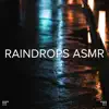 !!!" Raindrops Asmr"!!! album lyrics, reviews, download