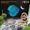Free by Vintage Culture, Fancy Inc, Roland Clark iTunes Track 1