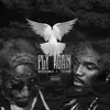 Fly Again (feat. Tsu Surf) - Single album lyrics, reviews, download