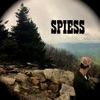Spiess