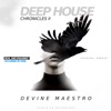 Deep House Chronicles II - Single