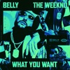 What You Want (feat. The Weeknd) - Single