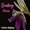 Quieting Tremors - Single